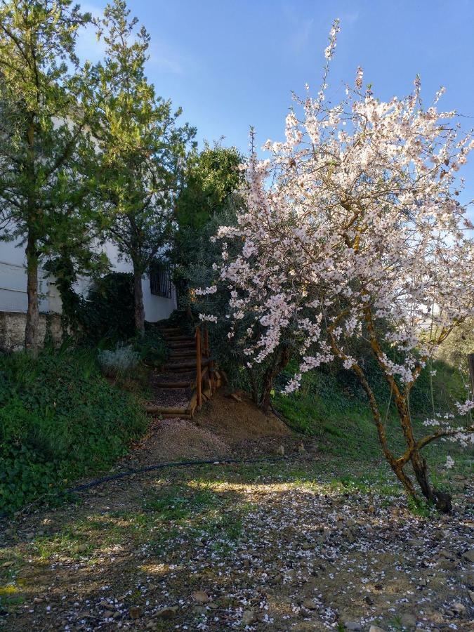 Pensjonat Casa La Liebrecilla Ríogordo Zewnętrze zdjęcie